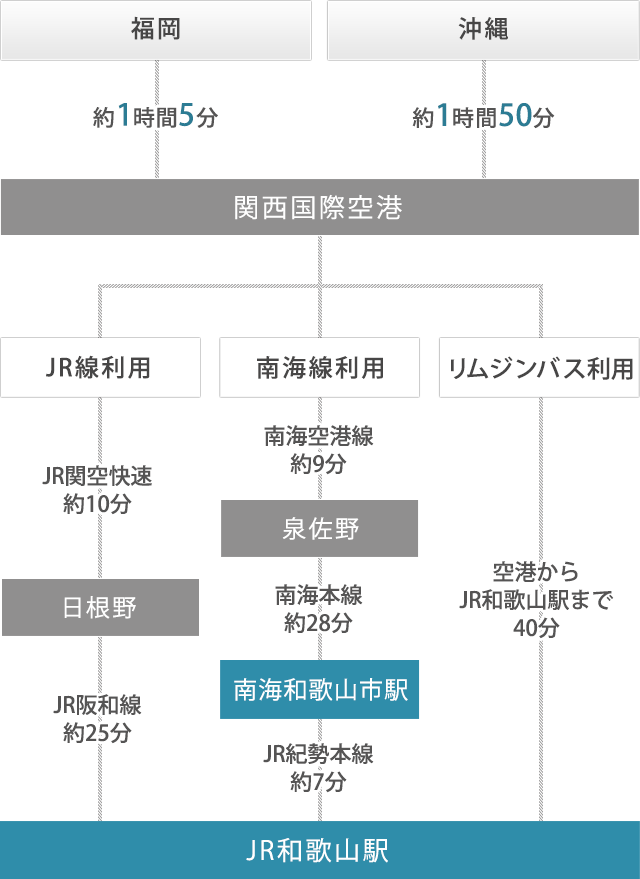 飛行機でのルート / 福岡・沖縄