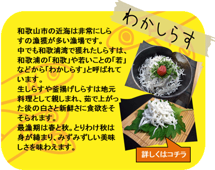 わかしらす　和歌山市の近海は非常にしらすの漁獲が多い漁場です。中でも和歌浦湾で獲れたしらすは、和歌浦の「和歌」や若いことの「若」などから「わかしらす」と呼ばれています。生しらすや釜揚げしらすは地元料理として親しまれ、茹で上がった後の白さと新鮮さに食欲をそそられます。最漁期は春と秋。とりわけ秋は身が締まり、みずみずしい美味しさを味わえます。　詳しくはコチラ