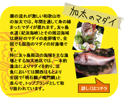 加太のマダイ　潮の流れが激しい和歌山市の加太では、年間を通して身の締まったマダイが獲れます。友ヶ島水道（紀淡海峡）とその周辺海域は絶好のマダイの産卵場で、全国でも屈指のマダイの好漁場です。特に友ヶ島周辺の海域を主な漁場とする加太地区では、一本釣漁法によりマダイを釣り、活魚においては関西はもとより全国で「明石鯛」「鳴門鯛」と並んで、トップブランドとして取り扱われています。　詳しくはコチラ