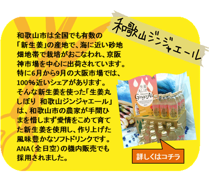和歌山ジンジャエール　和歌山市は全国でも有数の「新生姜」の産地で、海に近い砂地畑地帯で栽培がおこなわれ、京阪神市場を中心に出荷されています。特に6月から9月の大阪市場では、100%近いシェアがあります。そんな新生姜を使った「生姜丸しぼり 和歌山ジンジャエール」は、和歌山市の農家が手間ひまを惜しまず愛情をこめて育てた新生姜を使用し、作り上げた風味豊かなソフトドリンクです。ANA（全日空）の機内販売でも採用されました。　詳しくはコチラ