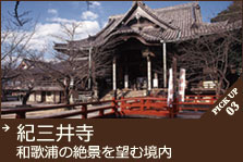 紀三井寺　和歌浦の絶景を望む境内