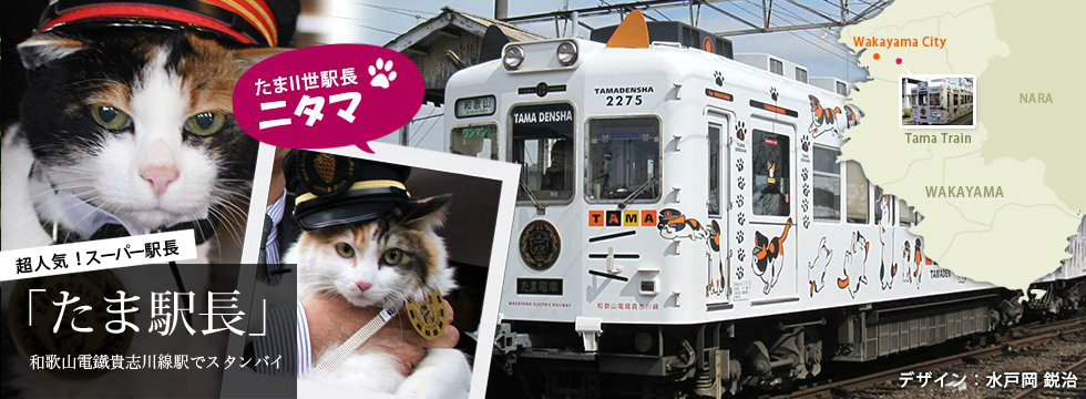 超人気！スーパー駅長 「たま駅長」　和歌山電鐵貴志川線駅でスタンバイ