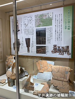平井遺跡の埴輪展示