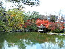 紅葉渓庭園 鳶魚閣