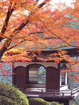 紅葉渓庭園 鳶魚閣