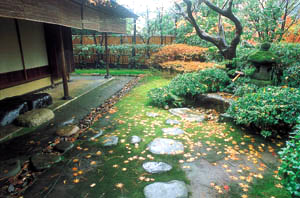 紅松庵 庭園