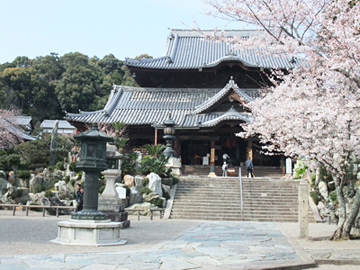 粉河寺