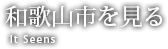 和歌山市を見る